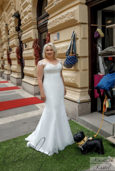 20039 -  Кастель